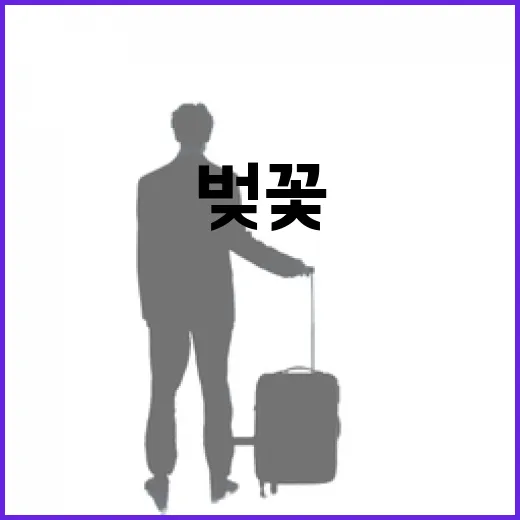 벚꽃과 복사꽃 어우…