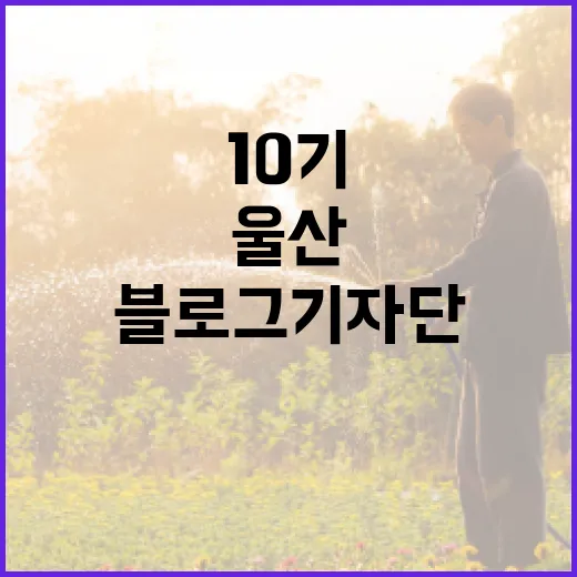 울산 블로그 기자단…