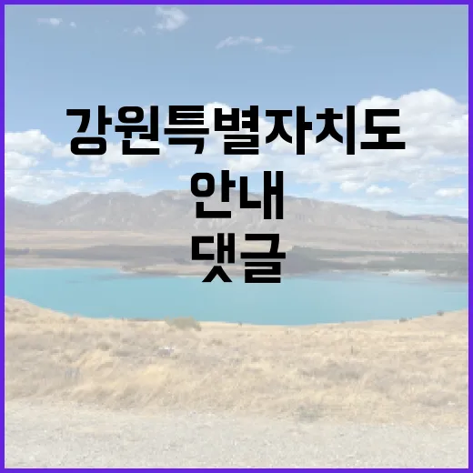 강원특별자치도 댓글 관리 방침 안내