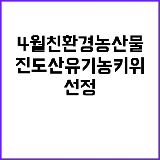 진도산 유기농 키위…