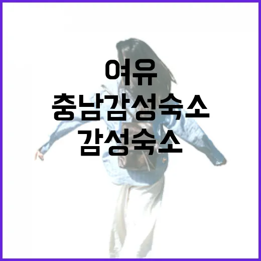 충남 감성 숙소 8곳에서 만나는 쉼과 여유