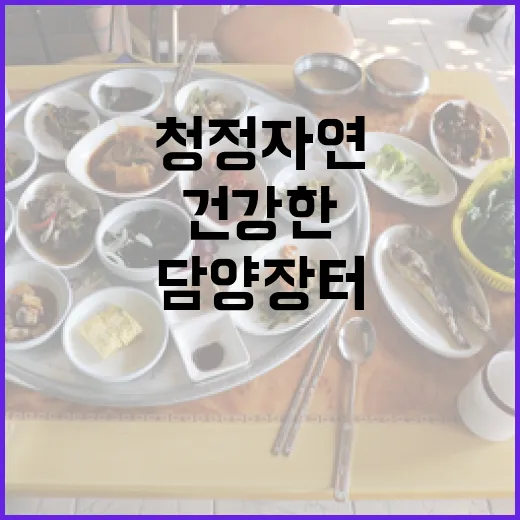 담양 장터, 청정 …