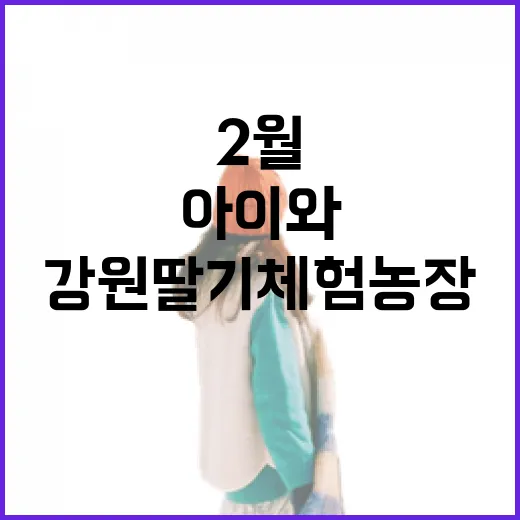 2월 강원 딸기체험농장 아이와 함께