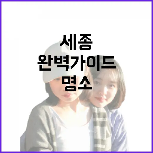 세종 금강변 바비큐·피크닉 명소 완벽 가이드