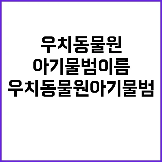우치동물원 아기 물범 이름 공모전