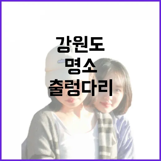 강원도 출렁다리 명소 4선
