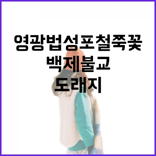 영광 법성포 철쭉꽃…