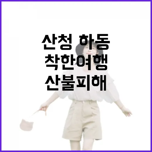 산청·하동 산불피해…