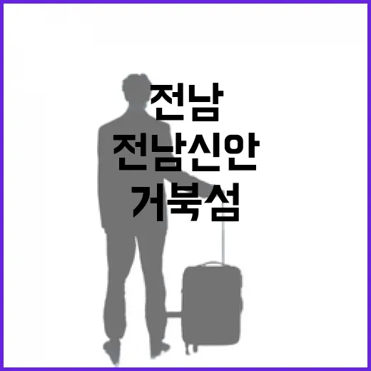전남 신안 거북섬과 젓갈타운 탐방기
