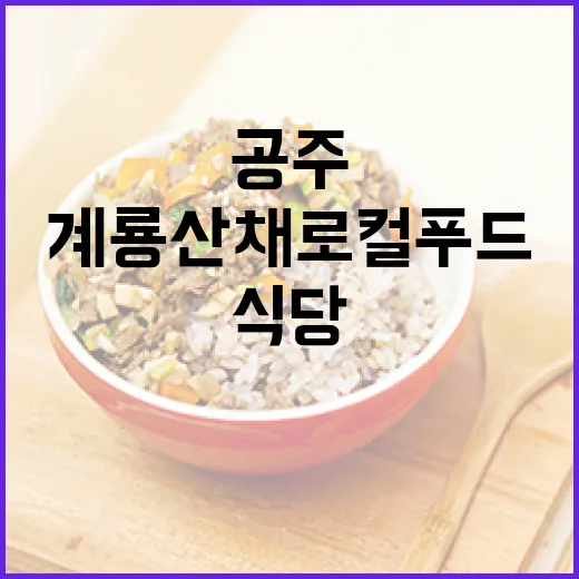 공주 계룡산채 로컬…