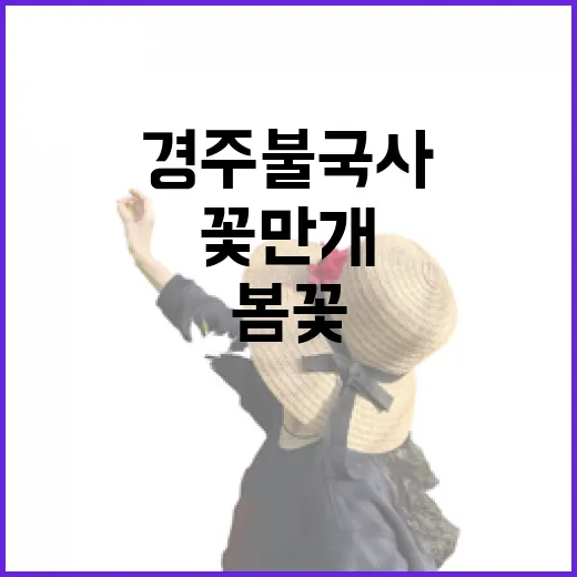 경주 불국사 봄꽃 …
