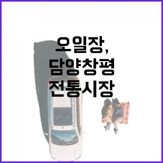 담양 창평 오일장,…