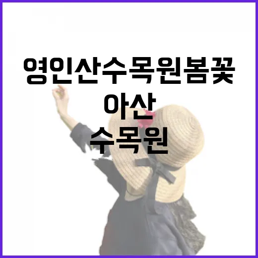 아산 영인산 수목원…