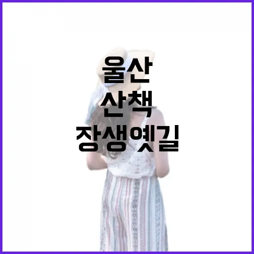 울산 숨은 벚꽃길 장생옛길 산책