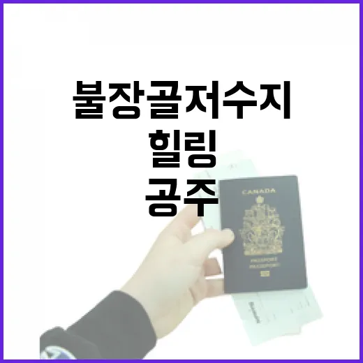 봄날의 힐링 명소, 공주 불장골 저수지