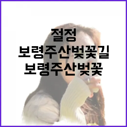 봄날의 절정, 보령…