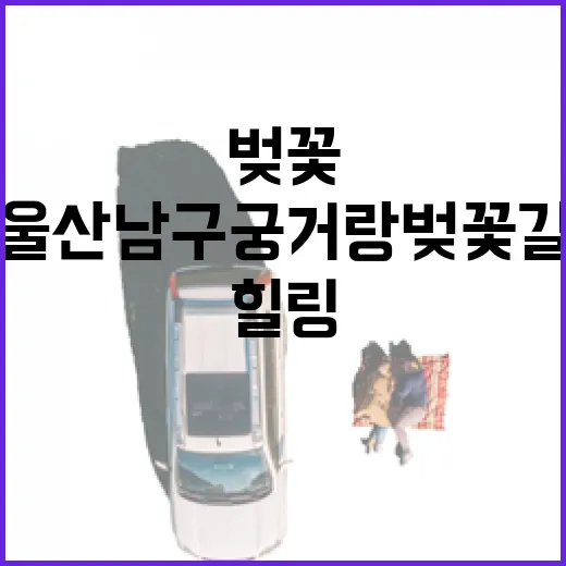 울산 남구 궁거랑 …