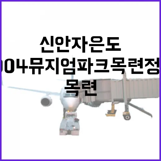 신안 자은도 100…