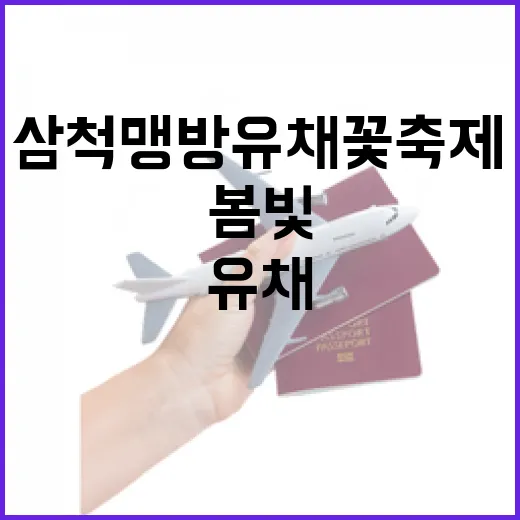 봄빛 가득한 삼척 맹방유채꽃축제 현장