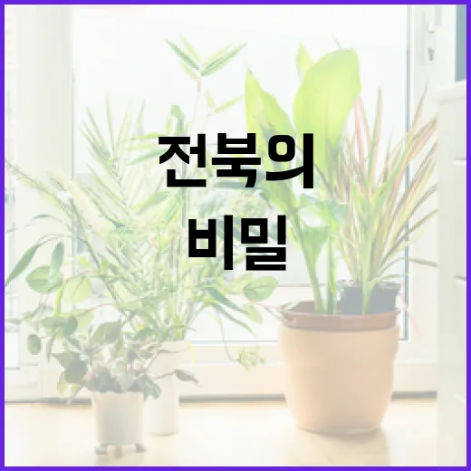 참나무 육형제의 비밀과 전북의 명목