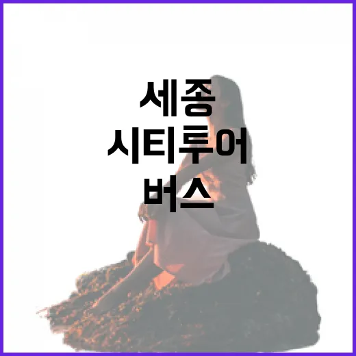 세종 2층버스 시티…