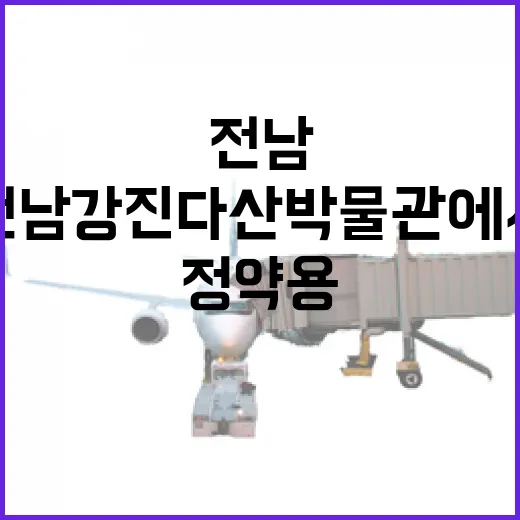 전남 강진 다산 박…