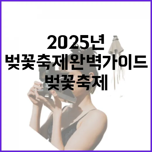 2025년 충북 벚…