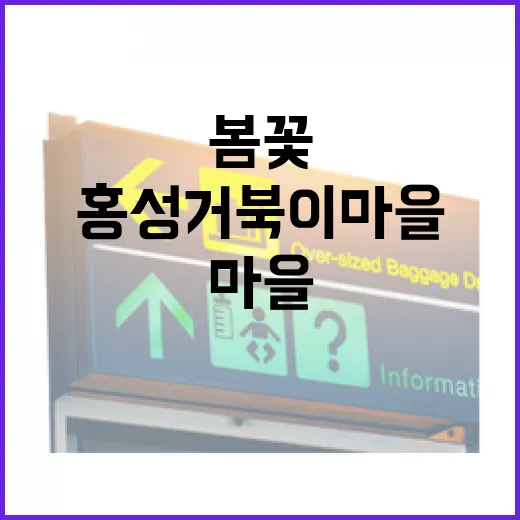 홍성 거북이마을 봄…