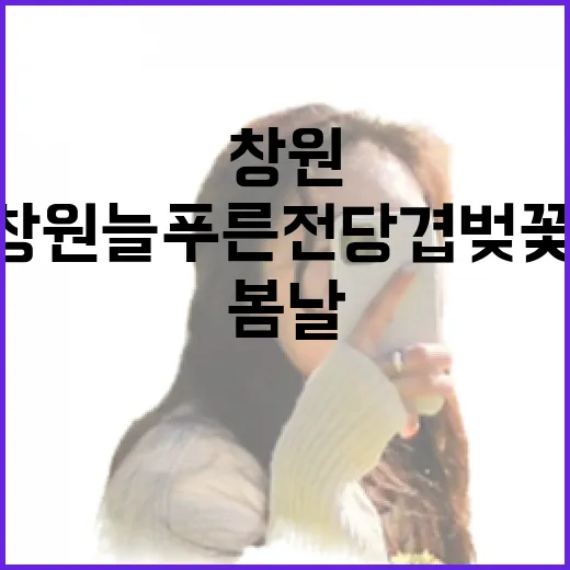 창원 늘푸른전당 겹…