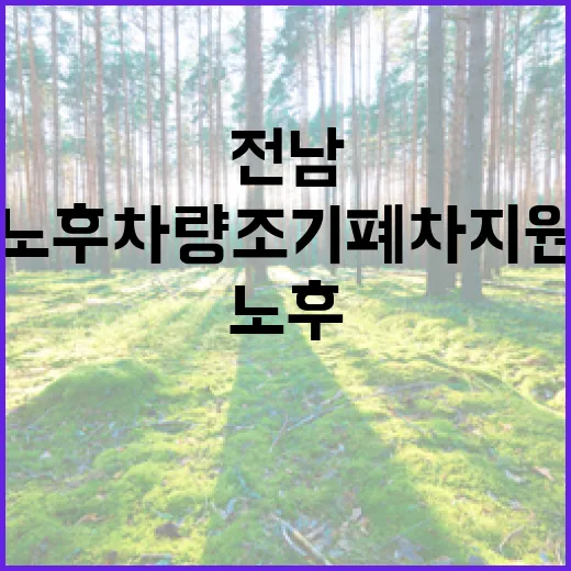 전남 노후차량 조기…