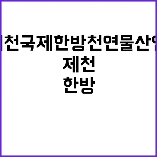 2025 제천국제한…