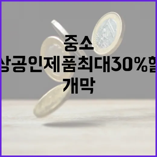 중소·소상공인 제품 최대 30% 할인 대축제 개막