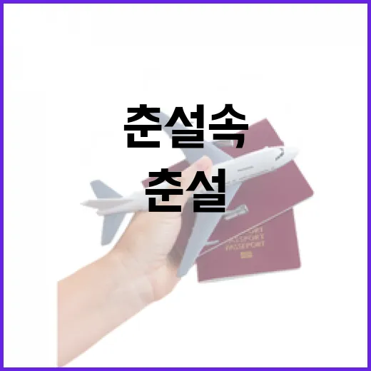 춘설 속 봄꽃의 생…