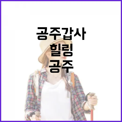 공주 갑사에서 만나…