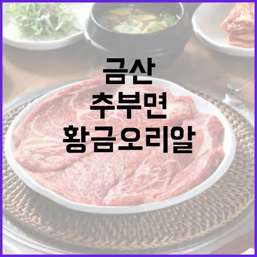 금산 추부면 황금오…