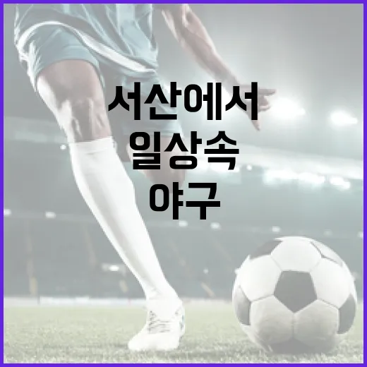 서산에서 만나는 일…