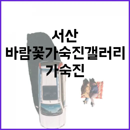 서산 바람꽃 가숙진…