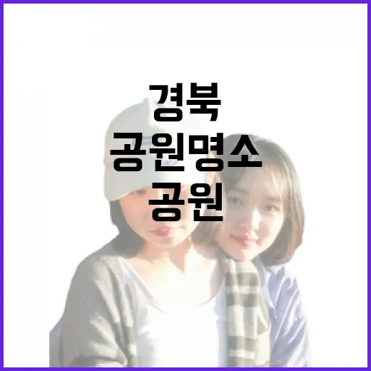 경북 봄맞이 공원 명소 4선
