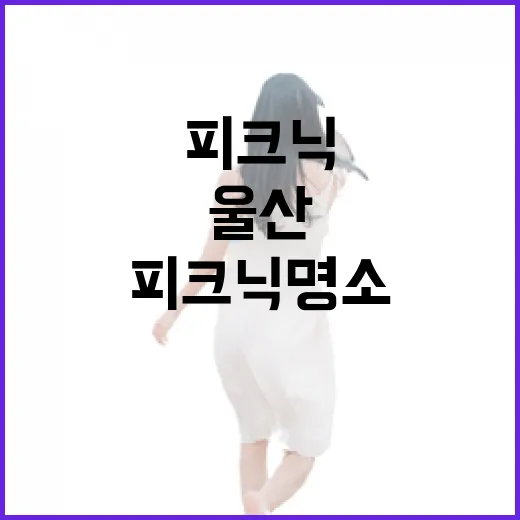 울산 봄 캠핑과 피…