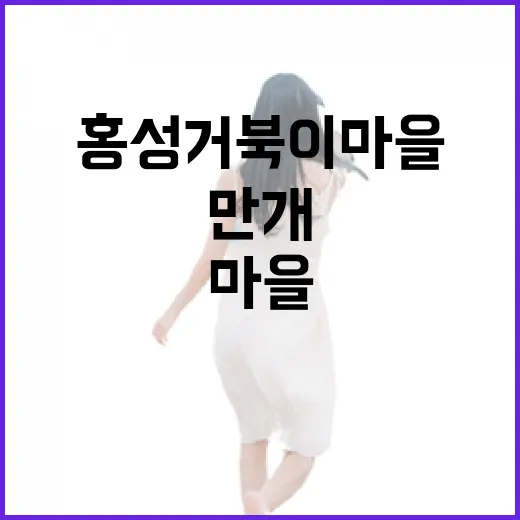 홍성 거북이마을 봄…