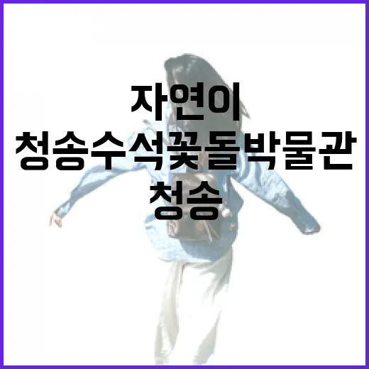 자연이 빚은 예술, 청송 수석꽃돌박물관