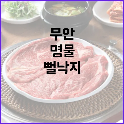 무안 수산시장 뻘낙…