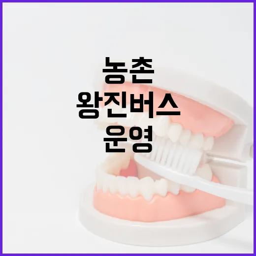 농촌 의료 사각지대…