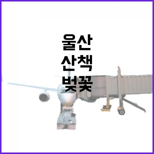 울산 삼산 유수지공…