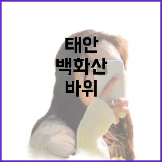 소나무와 바위가 빚…