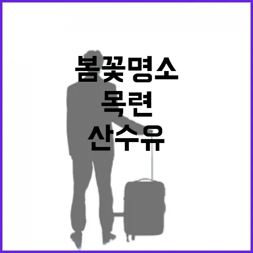 전북 봄꽃 명소, …