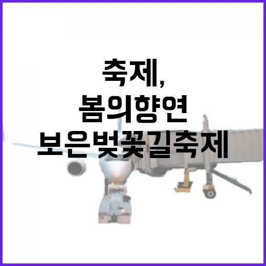 보은 벚꽃길 축제,…