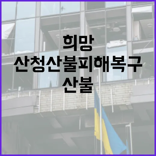 산청 산불 피해 복…