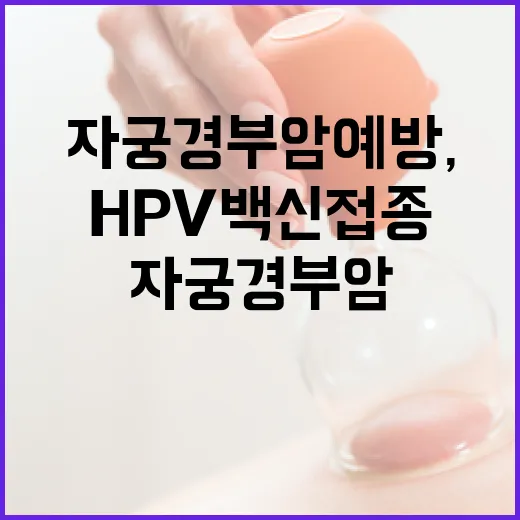 자궁경부암 예방, …