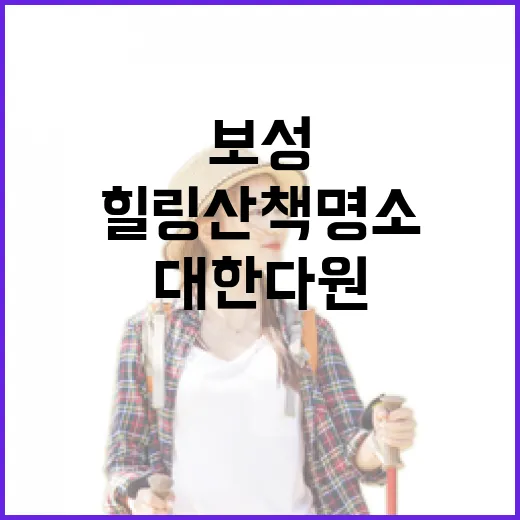 보성 대한다원 녹차…